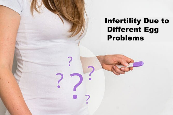 Infertility Due to Different Egg Problems